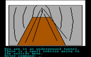 Hi-Res Adventure #2: The Wizard and the Princess for IBM PC/Compatibles - Exploring an underground tunnel.