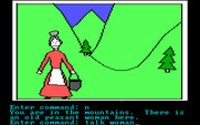 Hi-Res Adventure #2: The Wizard and the Princess for IBM PC/Compatibles - Talking with a woman hanging out in the mountains.