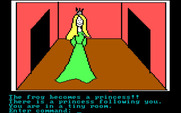 Hi-Res Adventure #2: The Wizard and the Princess for IBM PC/Compatibles - The frog is really a princess!!