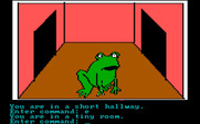 Hi-Res Adventure #2: The Wizard and the Princess for IBM PC/Compatibles - What's a large frog doing here?