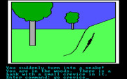 Hi-Res Adventure #2: The Wizard and the Princess for IBM PC/Compatibles - You magically turn into a snake!