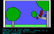 Hi-Res Adventure #2: The Wizard and the Princess for IBM PC/Compatibles - For some reason this parrot has a vial.