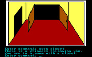 Hi-Res Adventure #2: The Wizard and the Princess for IBM PC/Compatibles - Still more rooms to explore...