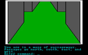 Hi-Res Adventure #2: The Wizard and the Princess for IBM PC/Compatibles - Lost in a maze!