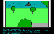 Hi-Res Adventure #2: The Wizard and the Princess for IBM PC/Compatibles - I see a boat in the distance!