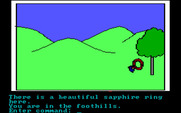 Hi-Res Adventure #2: The Wizard and the Princess for IBM PC/Compatibles - A rather nice ring is here...