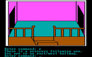 Hi-Res Adventure #2: The Wizard and the Princess for IBM PC/Compatibles - The princess follows you...now to find a way out of here.