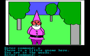 Hi-Res Adventure #2: The Wizard and the Princess for IBM PC/Compatibles - This gnome likes to steal your stuff...