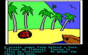 Hi-Res Adventure #2: The Wizard and the Princess for IBM PC/Compatibles - A pirate takes the treasure you found!