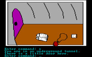 Hi-Res Adventure #2: The Wizard and the Princess for IBM PC/Compatibles - What's all  my stuff doing here?