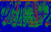 Gold Rush! for IBM PC/Compatibles - This jungle scene is particularly dangerous...take care!