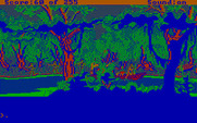 Gold Rush! for IBM PC/Compatibles - Watch out for the natives, they're dangerous!