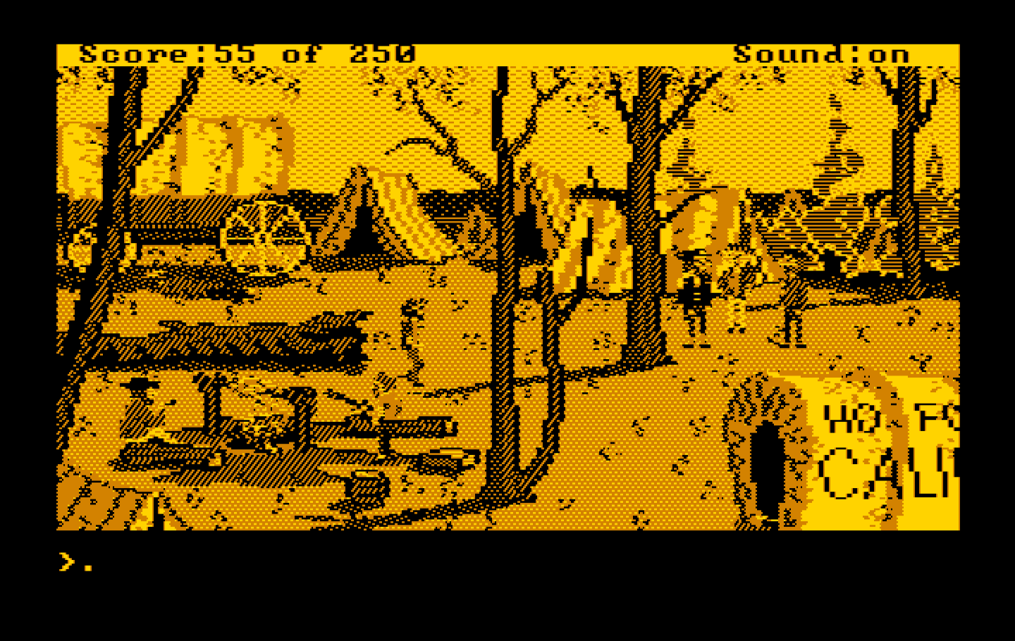 Gold Rush! IBM PC/Compatibles Screenshot: Setting up camp here for the moment...