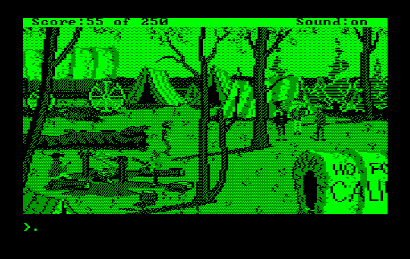 Gold Rush! IBM PC/Compatibles Screenshot: Setting up camp here for the moment...