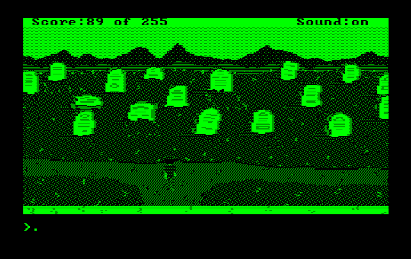 Gold Rush! IBM PC/Compatibles Screenshot: A graveyard...any clues here?