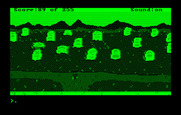 Gold Rush! for IBM PC/Compatibles - A graveyard...any clues here?