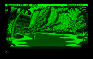 Gold Rush! for IBM PC/Compatibles - It may take some trial and error to get through the swamp.