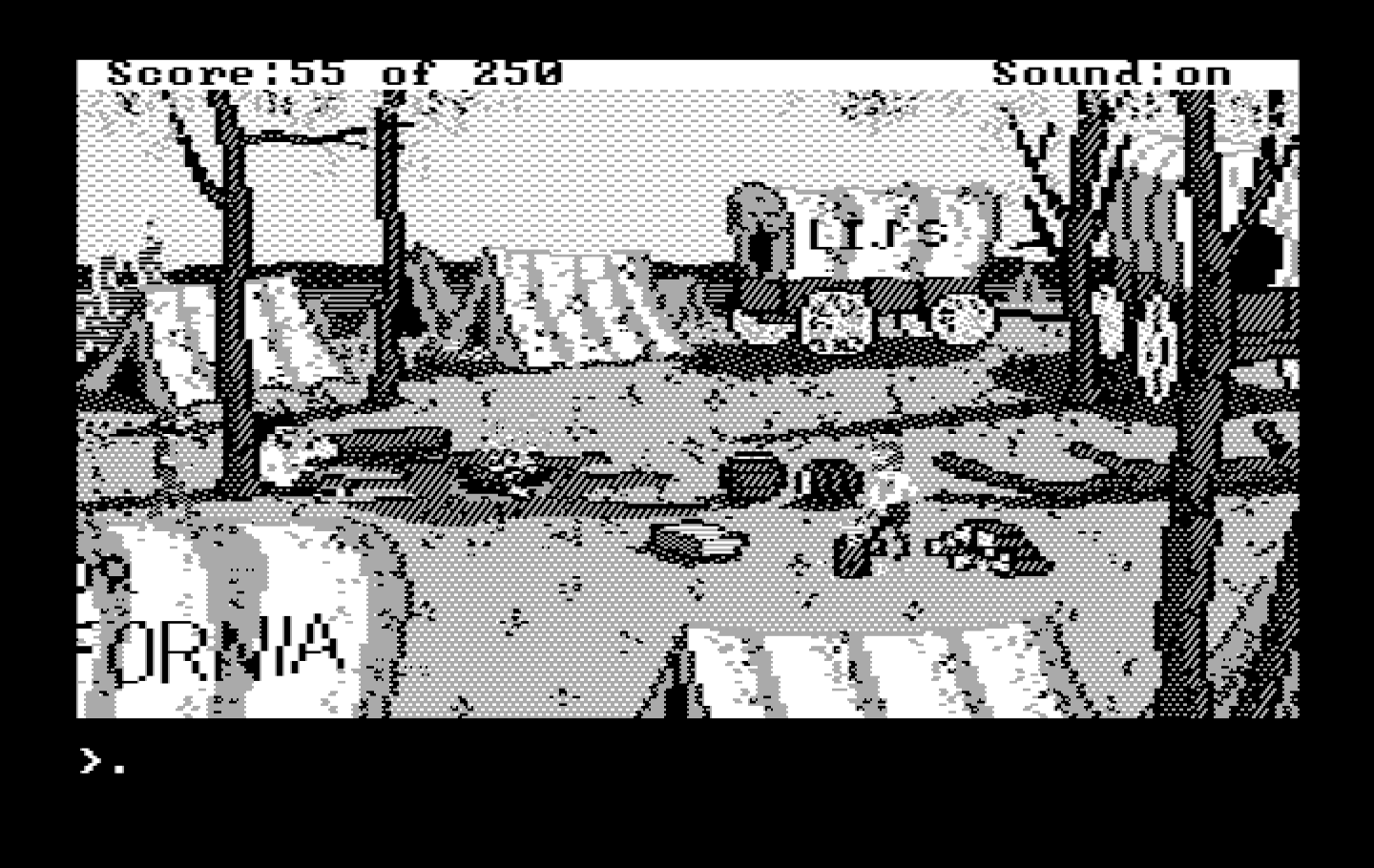 Gold Rush! IBM PC/Compatibles Screenshot: When there's time, talk to everyone you can.