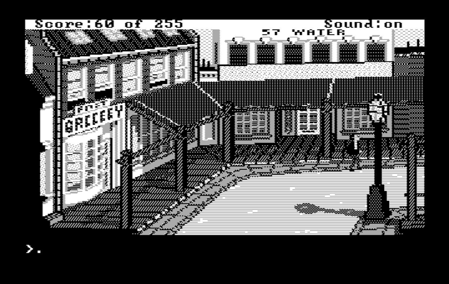 Gold Rush! IBM PC/Compatibles Screenshot: I may also want to stock up on supplies...