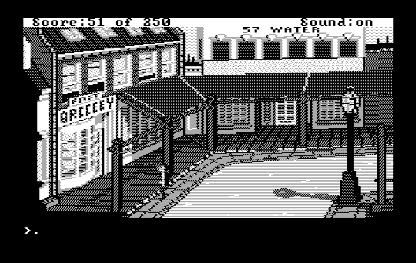 Gold Rush! IBM PC/Compatibles Screenshot: You can pick up supplies at these stores.