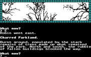 Mindfighter for IBM PC/Compatibles - This park is nothing but rubble...
