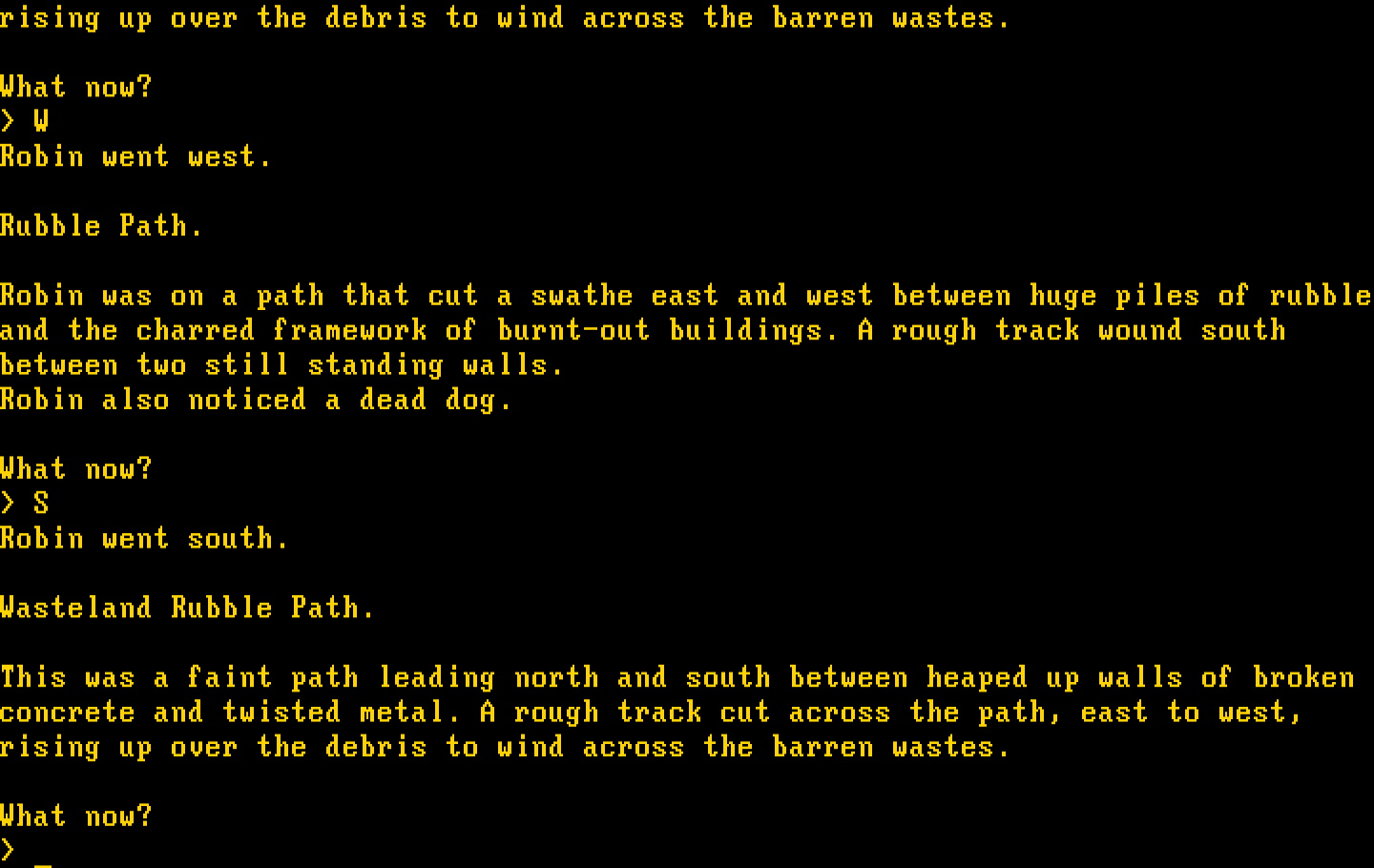 Mindfighter IBM PC/Compatibles Screenshot: Another rubble path.
