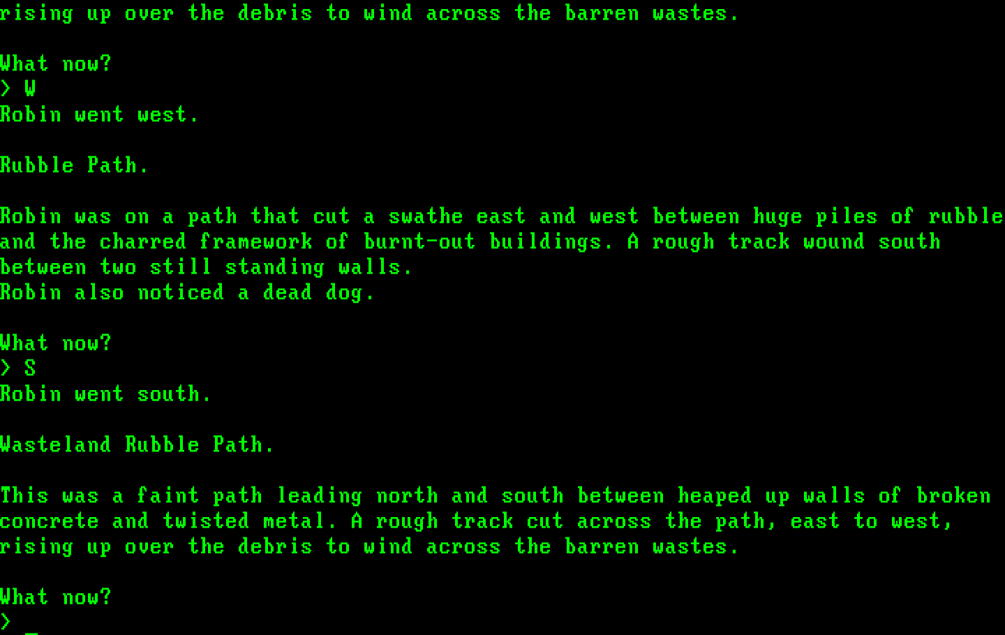 Mindfighter IBM PC/Compatibles Screenshot: Another rubble path.