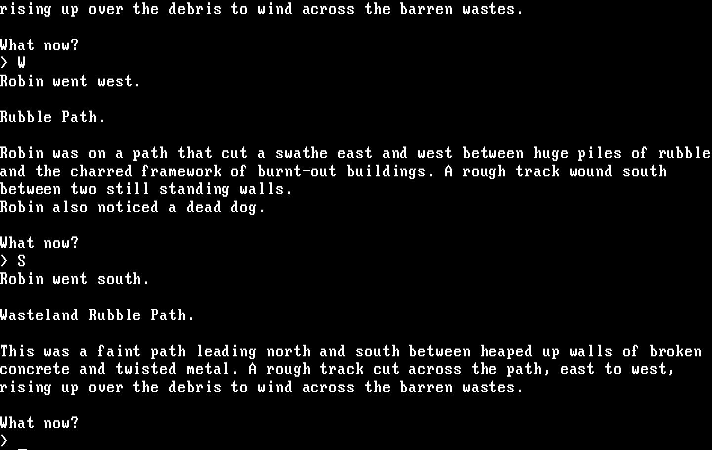 Mindfighter IBM PC/Compatibles Screenshot: Another rubble path.