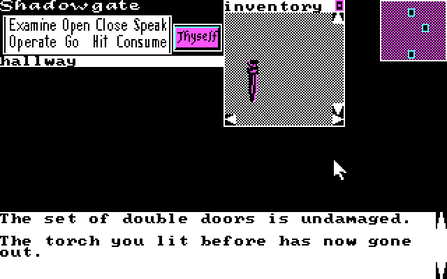 Shadowgate IBM PC/Compatibles Screenshot: Uh oh, my torch went out.