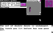 Shadowgate for IBM PC/Compatibles - Uh oh, my torch went out.