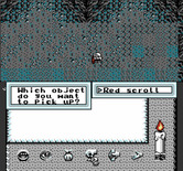 Times of Lore for NES / Famicom - Picking up an item...