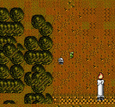Times of Lore for NES / Famicom - Be careful exploring!