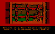 Hobbit, The for IBM PC/Compatibles - Trapped in a dungeon somewhere...