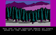 Hobbit, The for IBM PC/Compatibles - The edge of a pine forest...