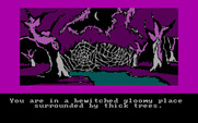 Hobbit, The for IBM PC/Compatibles - Looks gloomy here...