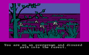 Hobbit, The for IBM PC/Compatibles - Looking dangerous here...be careful!