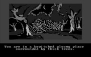 Hobbit, The for IBM PC/Compatibles - This area is a little spooky!
