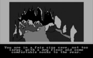 Hobbit, The for IBM PC/Compatibles - In a fair size cave...