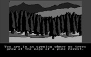 Hobbit, The for IBM PC/Compatibles - Outside a forest...