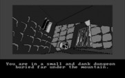 Hobbit, The for IBM PC/Compatibles - Trapped in a dungeon!
