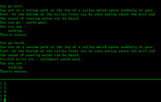 Hobbit, The for IBM PC/Compatibles - Exploring a bit...