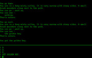 Hobbit, The for IBM PC/Compatibles - I have a golden key now!